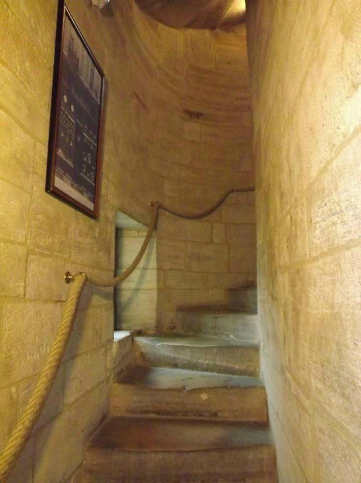 Hôtel animaux Creully sur Seulles